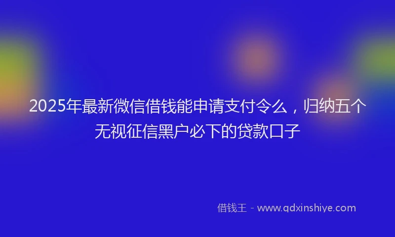 2025年最新微信借钱能申请支付令么，归纳五个无视征信黑户必下的贷款口子
