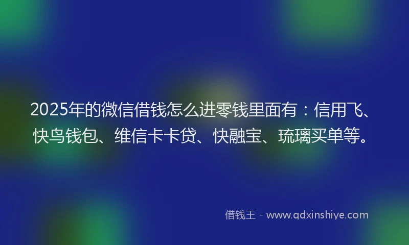 2025年的微信借钱怎么进零钱里面有：信用飞、快鸟钱包、维信卡卡贷、快融宝、琉璃买单等。