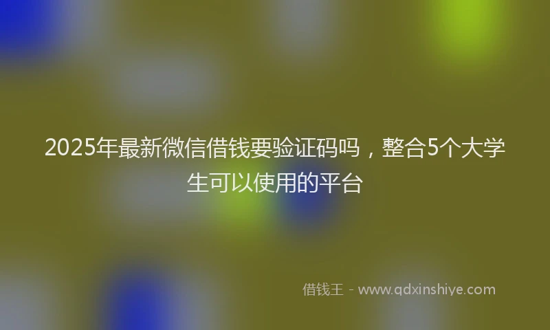 2025年最新微信借钱要验证码吗，整合5个大学生可以使用的平台