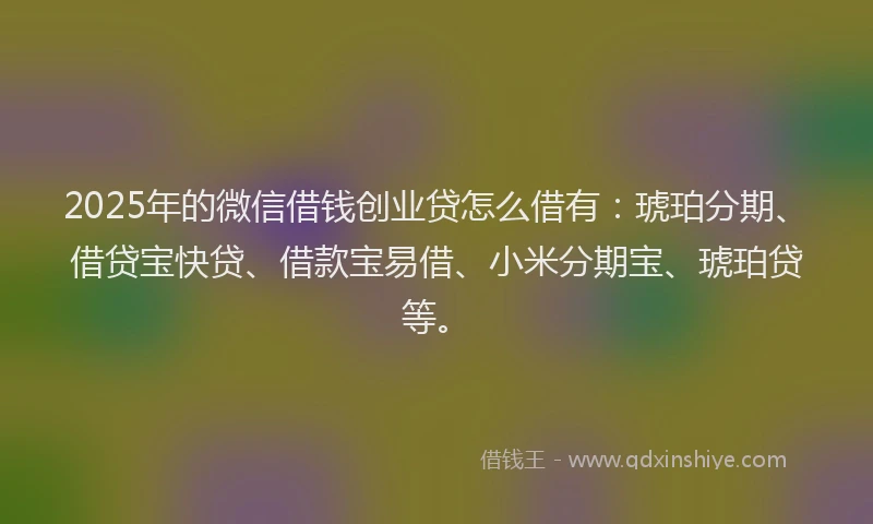 2025年的微信借钱创业贷怎么借有：琥珀分期、借贷宝快贷、借款宝易借、小米分期宝、琥珀贷等。