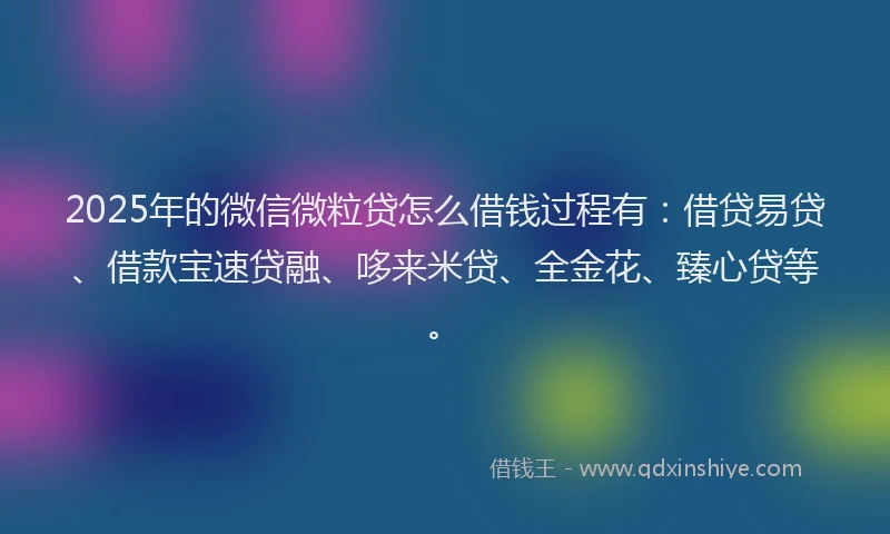 2025年的微信微粒贷怎么借钱过程有：借贷易贷、借款宝速贷融、哆来米贷、全金花、臻心贷等。