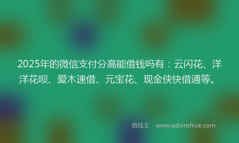 2025年的微信支付分高能借钱吗有：云闪花、洋洋花呗、爱木速借、元宝花、现金侠快借通等。