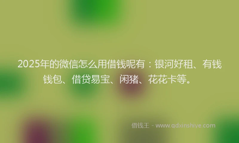 2025年的微信怎么用借钱呢有：银河好租、有钱钱包、借贷易宝、闲猪、花花卡等。