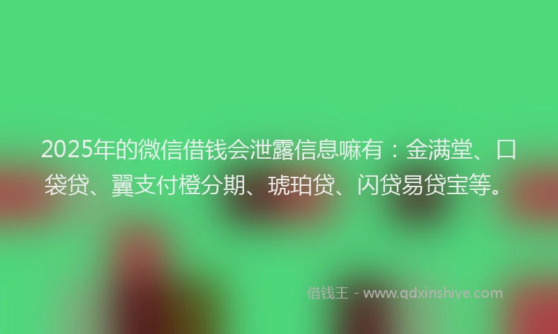2025年的微信借钱会泄露信息嘛有：金满堂、口袋贷、翼支付橙分期、琥珀贷、闪贷易贷宝等。