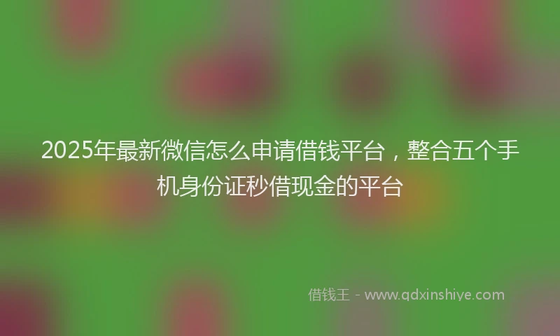 2025年最新微信怎么申请借钱平台，整合五个手机身份证秒借现金的平台