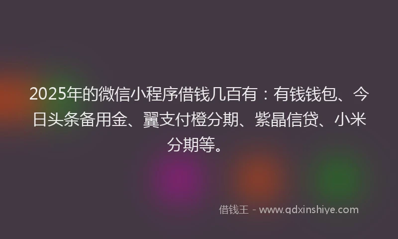 2025年的微信小程序借钱几百有：有钱钱包、今日头条备用金、翼支付橙分期、紫晶信贷、小米分期等。