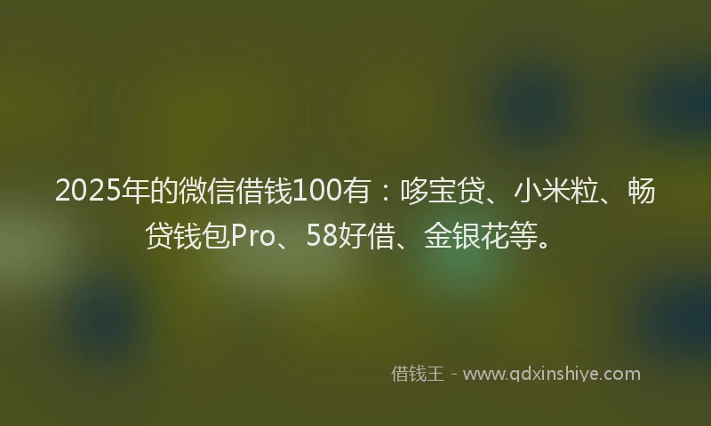 2025年的微信借钱100有：哆宝贷、小米粒、畅贷钱包Pro、58好借、金银花等。