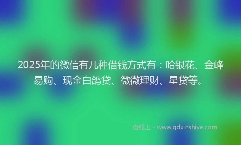 2025年的微信有几种借钱方式有：哈银花、金峰易购、现金白鸽贷、微微理财、星贷等。