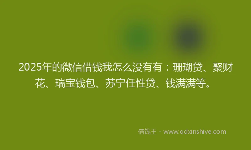 2025年的微信借钱我怎么没有有：珊瑚贷、聚财花、瑞宝钱包、苏宁任性贷、钱满满等。