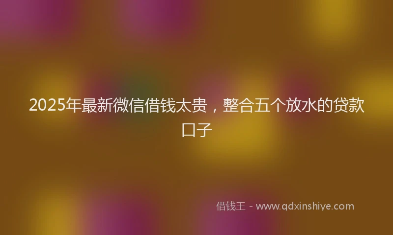 2025年最新微信借钱太贵，整合五个放水的贷款口子