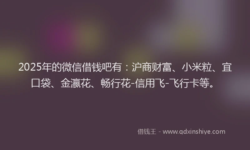 2025年的微信借钱吧有：沪商财富、小米粒、宜口袋、金瀛花、畅行花-信用飞-飞行卡等。