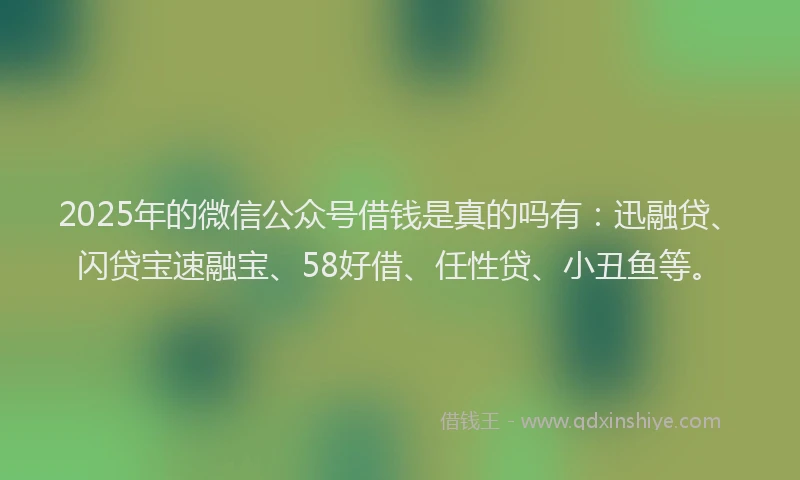 2025年的微信公众号借钱是真的吗有：迅融贷、闪贷宝速融宝、58好借、任性贷、小丑鱼等。