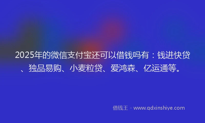 2025年的微信支付宝还可以借钱吗有：钱进快贷、独品易购、小麦粒贷、爱鸿森、亿运通等。