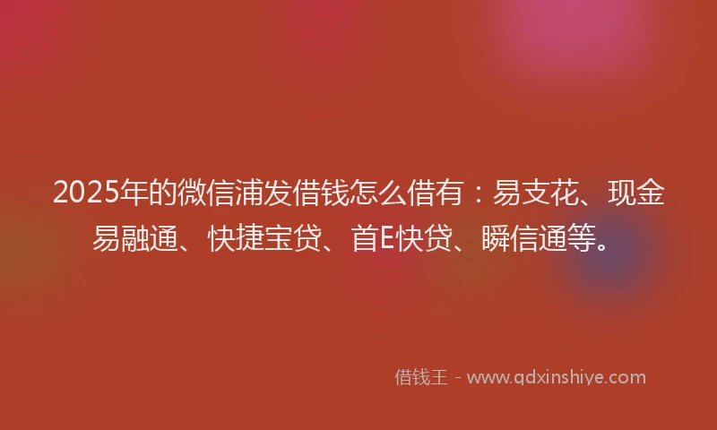 2025年的微信浦发借钱怎么借有：易支花、现金易融通、快捷宝贷、首E快贷、瞬信通等。
