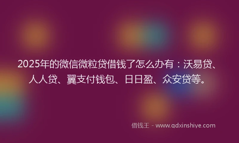 2025年的微信微粒贷借钱了怎么办有：沃易贷、人人贷、翼支付钱包、日日盈、众安贷等。