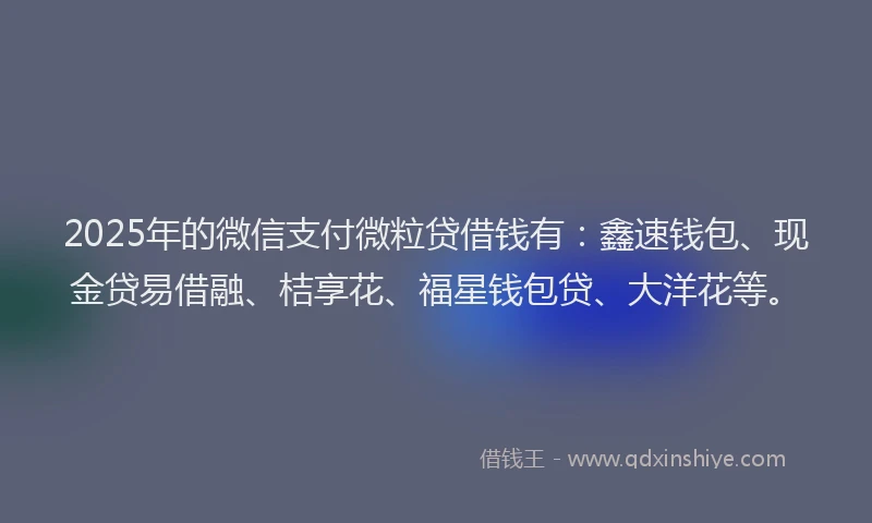 2025年的微信支付微粒贷借钱有：鑫速钱包、现金贷易借融、桔享花、福星钱包贷、大洋花等。