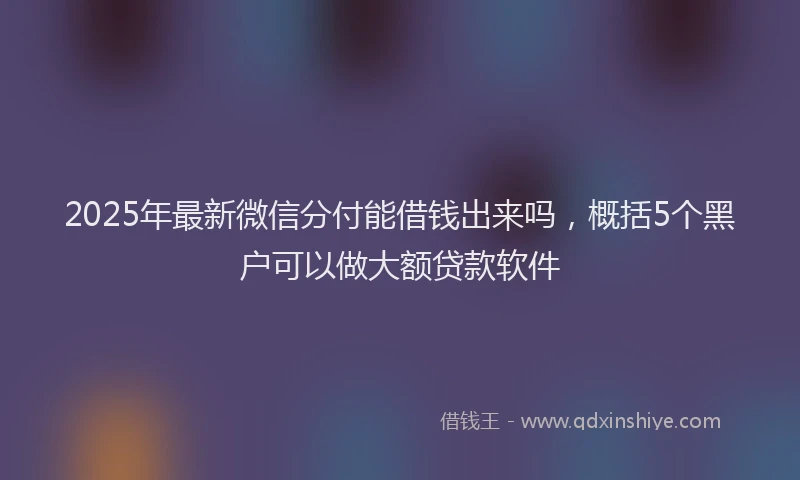 2025年最新微信分付能借钱出来吗，概括5个黑户可以做大额贷款软件