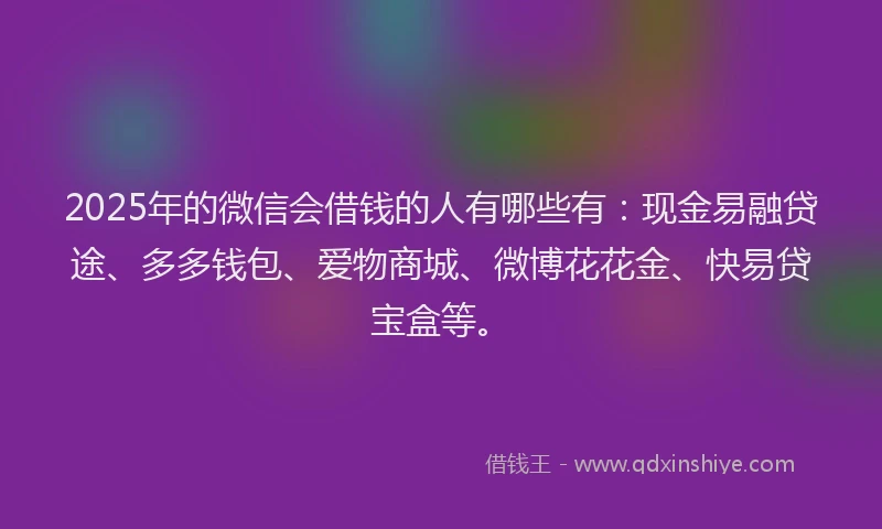 2025年的微信会借钱的人有哪些有：现金易融贷途、多多钱包、爱物商城、微博花花金、快易贷宝盒等。