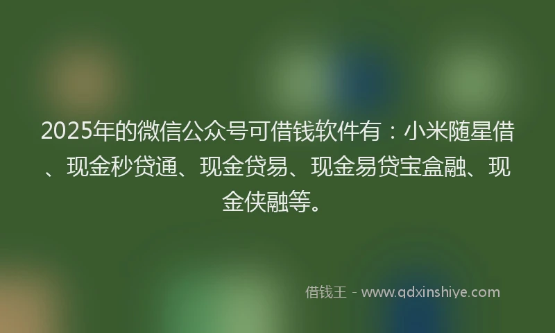 2025年的微信公众号可借钱软件有：小米随星借、现金秒贷通、现金贷易、现金易贷宝盒融、现金侠融等。