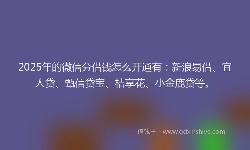 2025年的微信分借钱怎么开通有：新浪易借、宜人贷、甄信贷宝、桔享花、小金鹿贷等。
