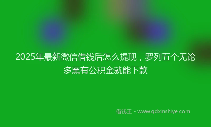 2025年最新微信借钱后怎么提现，罗列五个无论多黑有公积金就能下款