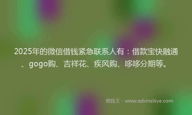 2025年的微信借钱紧急联系人有：借款宝快融通、gogo购、吉祥花、疾风购、哆哆分期等。