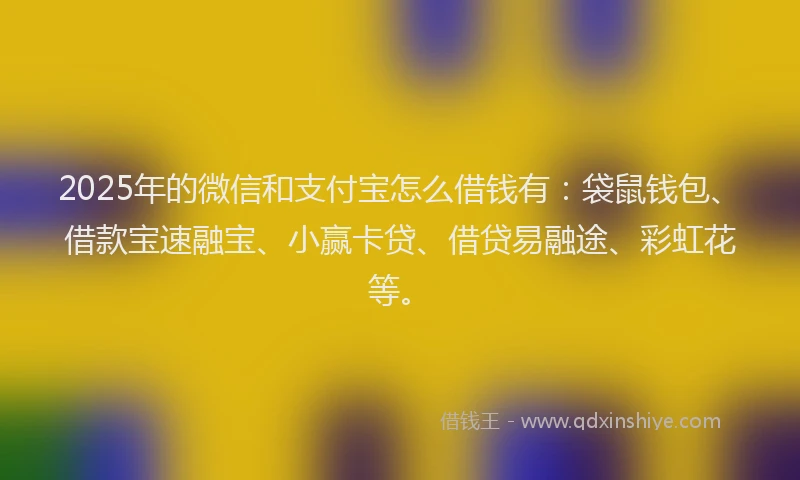 2025年的微信和支付宝怎么借钱有：袋鼠钱包、借款宝速融宝、小赢卡贷、借贷易融途、彩虹花等。