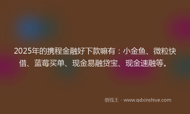 2025年的携程金融好下款嘛有：小金鱼、微粒快借、蓝莓买单、现金易融贷宝、现金速融等。