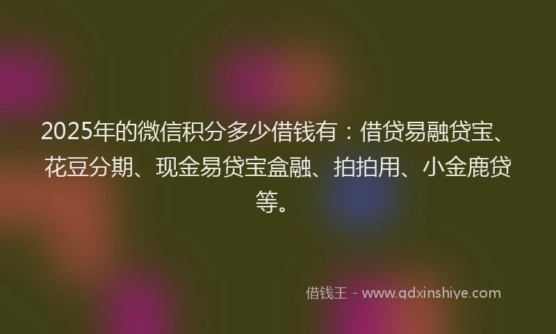 2025年的微信积分多少借钱有：借贷易融贷宝、花豆分期、现金易贷宝盒融、拍拍用、小金鹿贷等。