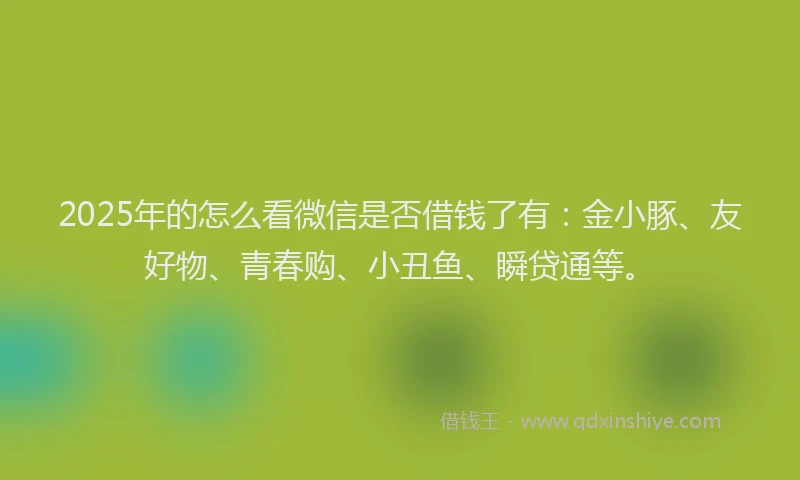2025年的怎么看微信是否借钱了有：金小豚、友好物、青春购、小丑鱼、瞬贷通等。