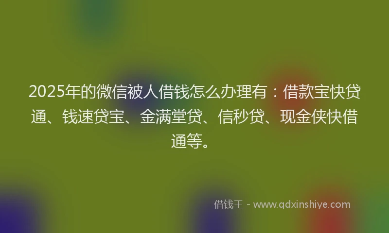 2025年的微信被人借钱怎么办理有：借款宝快贷通、钱速贷宝、金满堂贷、信秒贷、现金侠快借通等。