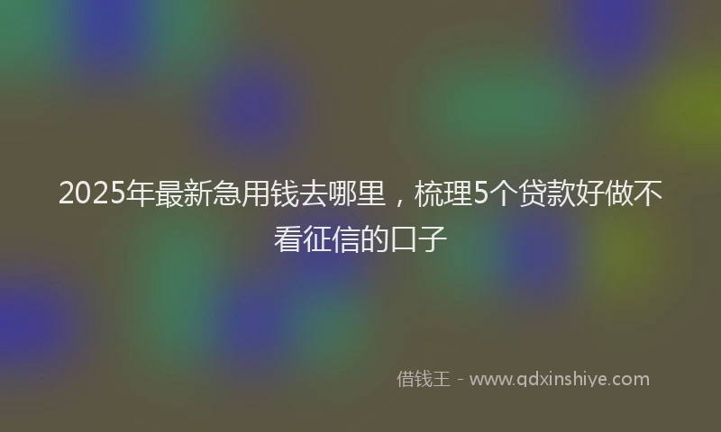 2025年最新急用钱去哪里，梳理5个贷款好做不看征信的口子