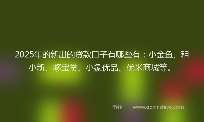 2025年的新出的贷款口子有哪些有：小金鱼、租小新、哆宝贷、小象优品、优米商城等。