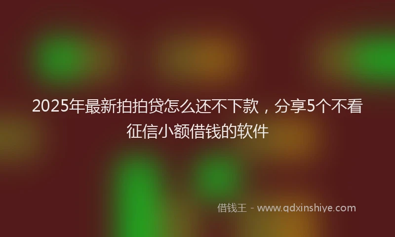 2025年最新拍拍贷怎么还不下款，分享5个不看征信小额借钱的软件
