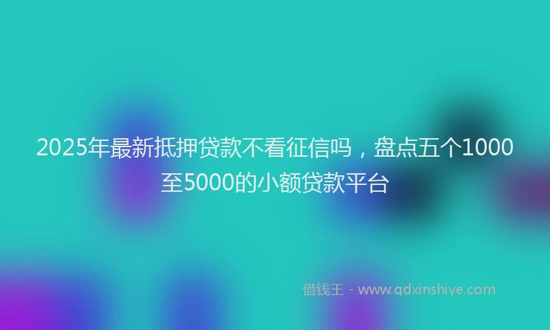 2025年最新抵押贷款不看征信吗，盘点五个1000至5000的小额贷款平台
