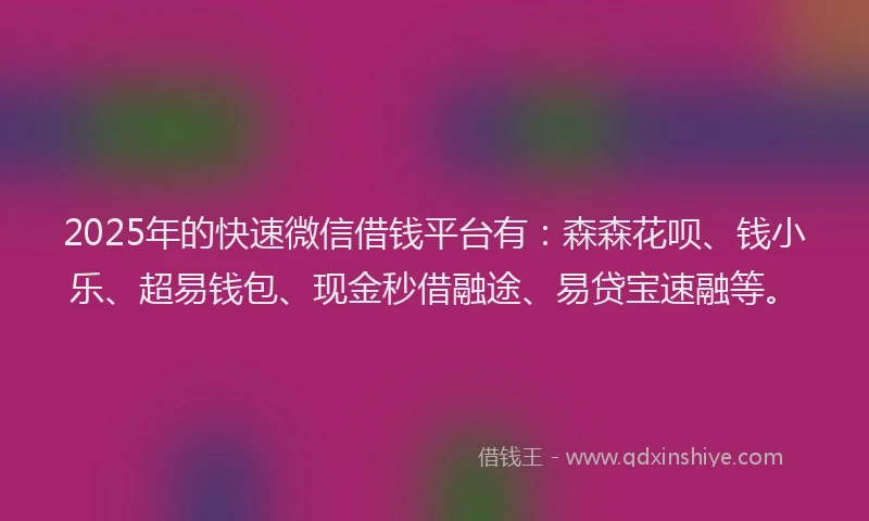 2025年的快速微信借钱平台有：森森花呗、钱小乐、超易钱包、现金秒借融途、易贷宝速融等。