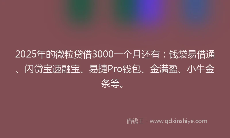 2025年的微粒贷借3000一个月还有：钱袋易借通、闪贷宝速融宝、易捷Pro钱包、金满盈、小牛金条等。
