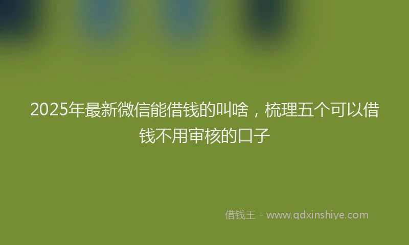 2025年最新微信能借钱的叫啥，梳理五个可以借钱不用审核的口子