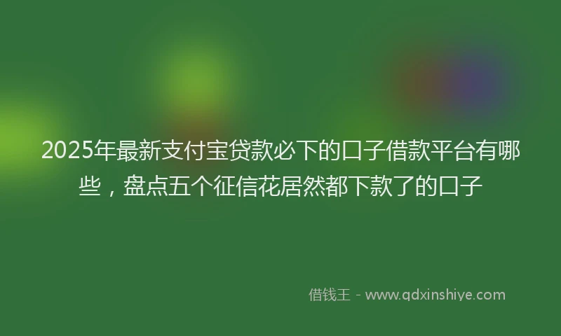 2025年最新支付宝贷款必下的口子借款平台有哪些，盘点五个征信花居然都下款了的口子