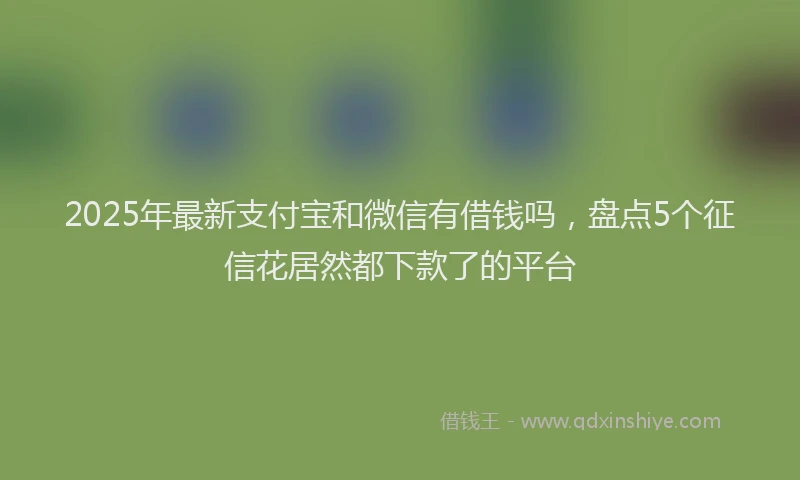 2025年最新支付宝和微信有借钱吗，盘点5个征信花居然都下款了的平台