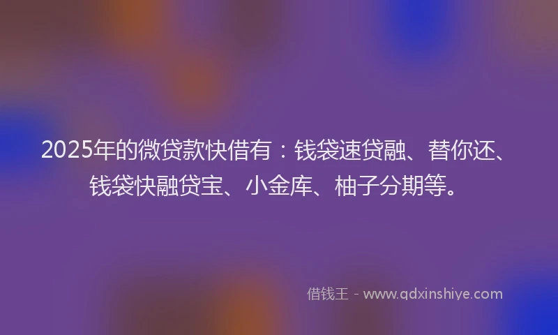 2025年的微贷款快借有：钱袋速贷融、替你还、钱袋快融贷宝、小金库、柚子分期等。