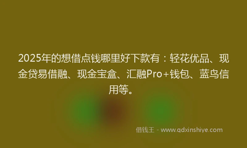 2025年的想借点钱哪里好下款有：轻花优品、现金贷易借融、现金宝盒、汇融Pro+钱包、蓝鸟信用等。