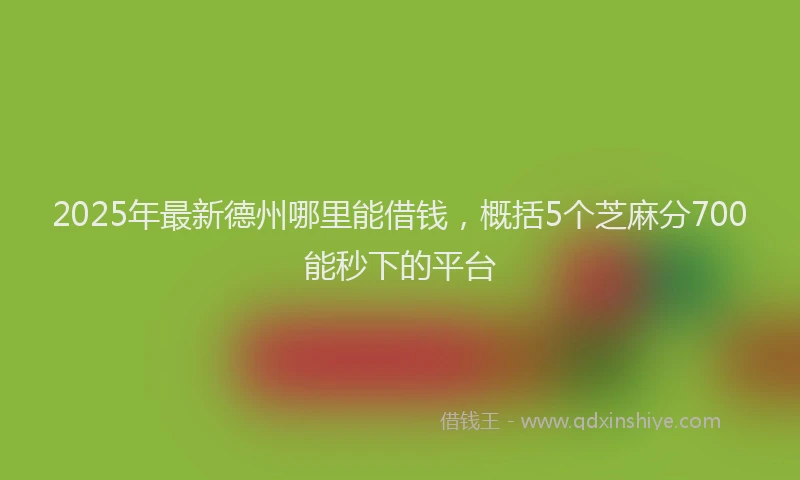 2025年最新德州哪里能借钱，概括5个芝麻分700能秒下的平台