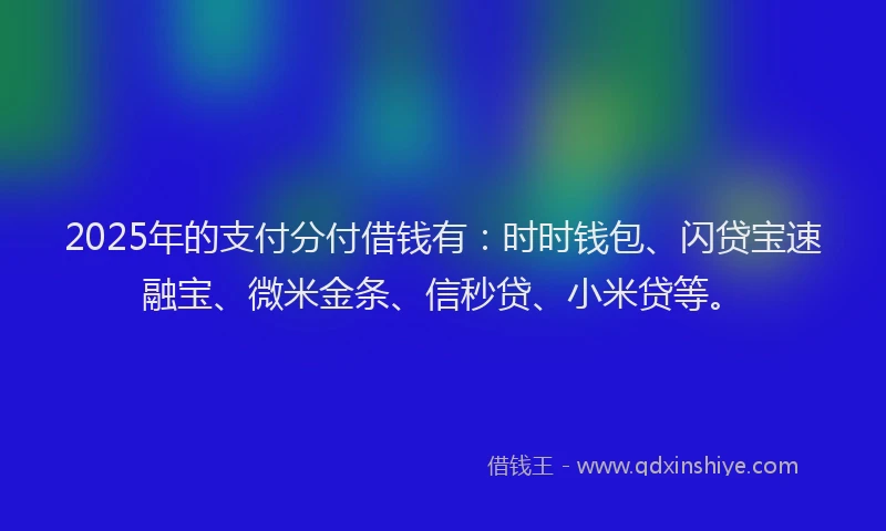2025年的支付分付借钱有：时时钱包、闪贷宝速融宝、微米金条、信秒贷、小米贷等。
