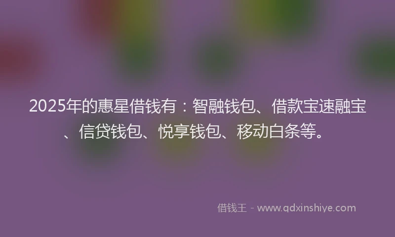 2025年的惠星借钱有：智融钱包、借款宝速融宝、信贷钱包、悦享钱包、移动白条等。