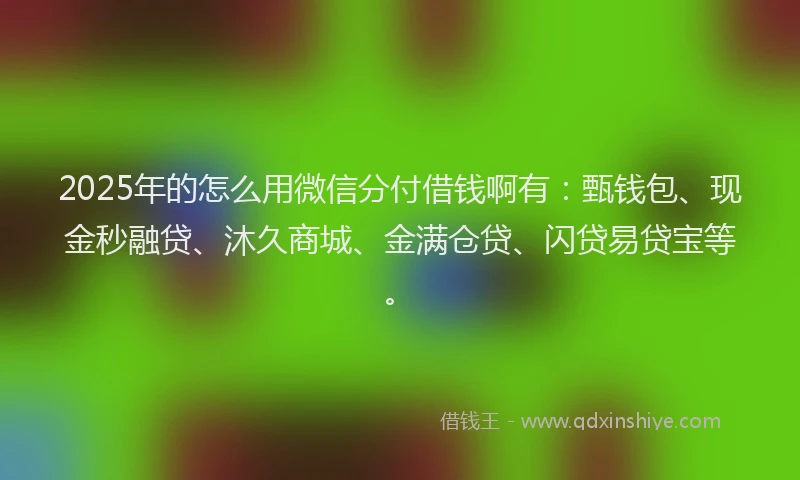 2025年的怎么用微信分付借钱啊有：甄钱包、现金秒融贷、沐久商城、金满仓贷、闪贷易贷宝等。
