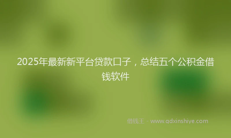 2025年最新新平台贷款口子，总结五个公积金借钱软件