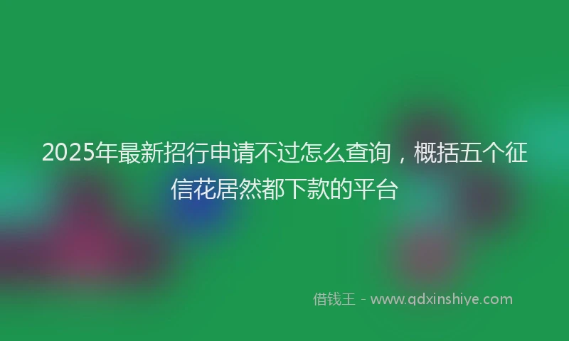 2025年最新招行申请不过怎么查询，概括五个征信花居然都下款的平台