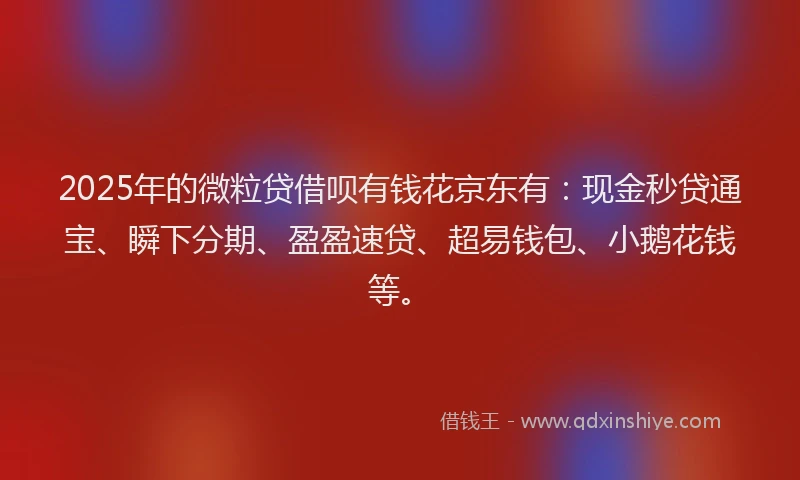2025年的微粒贷借呗有钱花京东有：现金秒贷通宝、瞬下分期、盈盈速贷、超易钱包、小鹅花钱等。