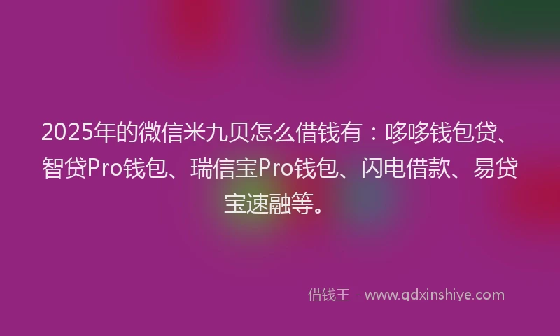 2025年的微信米九贝怎么借钱有：哆哆钱包贷、智贷Pro钱包、瑞信宝Pro钱包、闪电借款、易贷宝速融等。